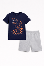 Dino racer summer kids tshirt and short